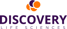 Discovery — клиент на TaxiMe for Business